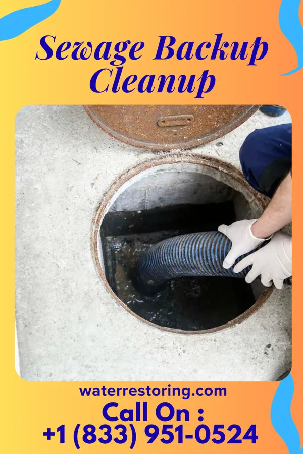 Sewage Backup Cleanup in Du Quoin, IL